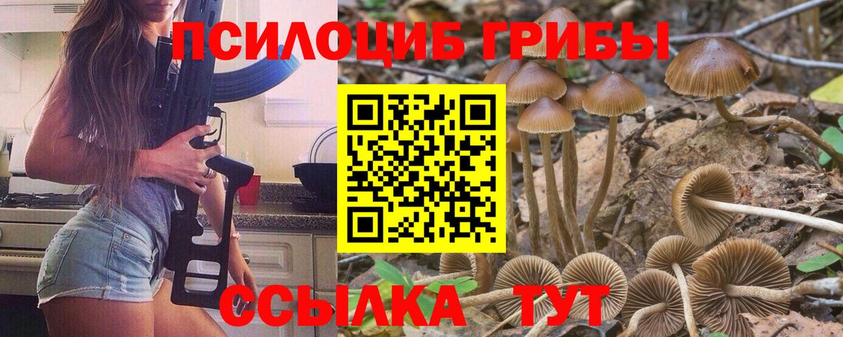 Псилоцибиновые грибы Cubensis Котельники