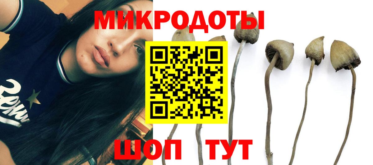 Галлюциногенные грибы Psilocybine cubensis  Вход с VPN  Котельники 